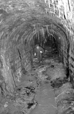 Вход в  тоннель Нобелей долгие годы скрывал трёхметровый тростник.
